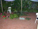early05.jpg